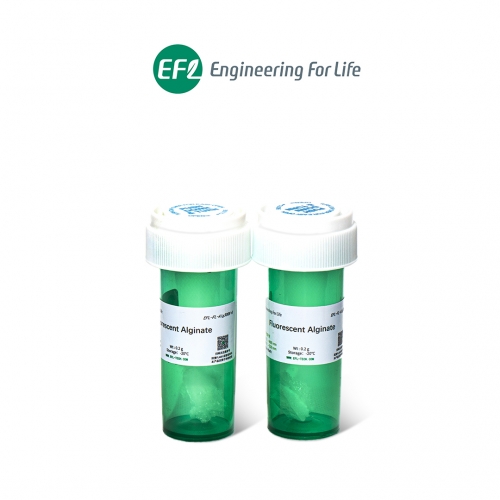 熒光標(biāo)記海藻酸鈉；Fluorescent Alginate；