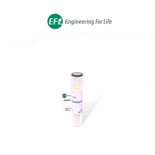 甲基丙烯?；髂z交聯(lián)微球Gelatin Methacryloyl Crosslinked Microsphere；GelMA交聯(lián)微球；EFL-MS-C-GM系列